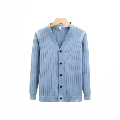 Light Blue Cardigan + White Shirt + Light Blue Cardigan + Watch + Tie + Loafers